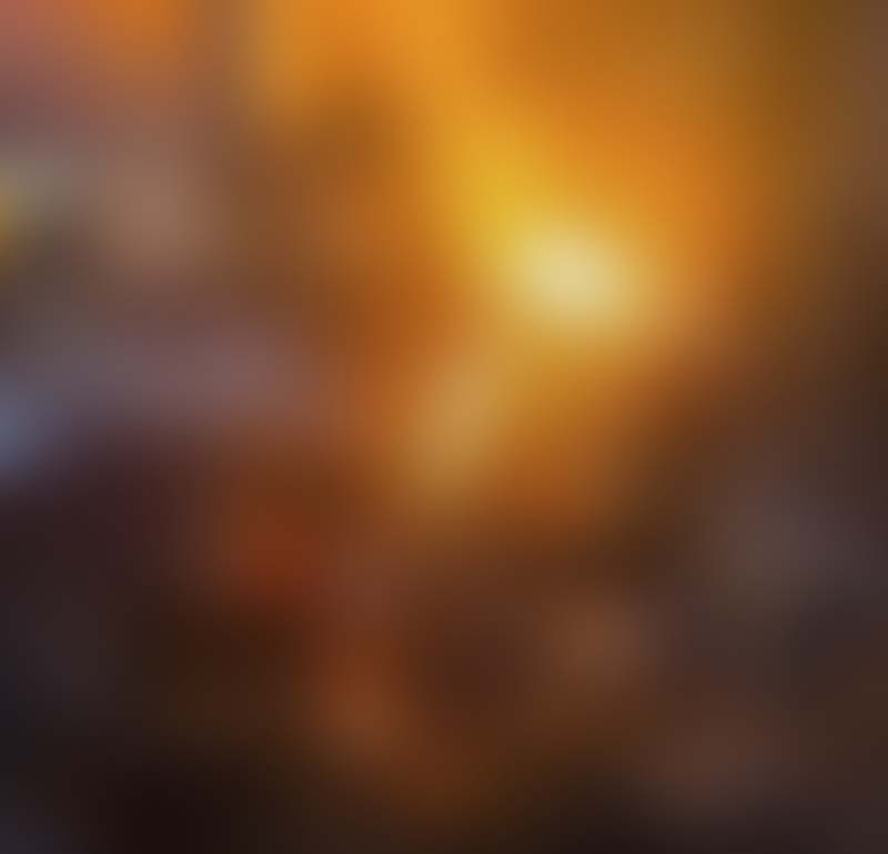 WordPress Development Solutions Thailand